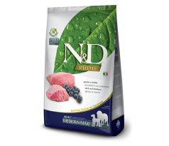 N&D GF Adult Medium&Maxi  lamb & blueberry 12 kg